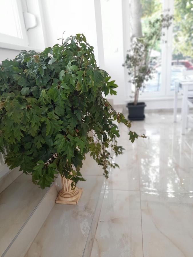 Orion Panzio Bed & Breakfast Hajduszoboszlo Ngoại thất bức ảnh